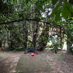 Vatican Quiet With Garden & Parking Apartment